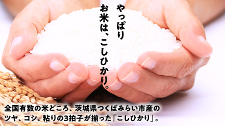 ＼ 新米先行予約 ／ 《 10月下期出荷 》 コシヒカリ 10kg 令和7年産精米 【 数量限定 】茨城県つくばみらい市産 米 コメ 単一米 26000 茨城県産 国産 発送 コスパ こしひかり
