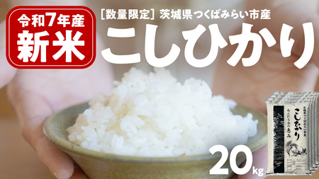 \ 新米先行予約 / 《 10月下期出荷 》 コシヒカリ 20kg 令和7年産精米 【 数量限定 】茨城県つくばみらい市産 米 コメ 単一米 52000 茨城県産 国産 発送 コスパ こしひかり
