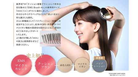 WAVE WAVE EMS Brush Air Mini ( ピンクゴールド )