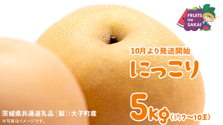 にっこり 梨 5kg （7～10玉）【2026年10月より発送開始】（茨城県共通返礼品 [梨]：大子町産）