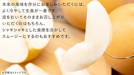 にっこり 梨 5kg （7～10玉）【2026年10月より発送開始】（茨城県共通返礼品 [梨]：大子町産）