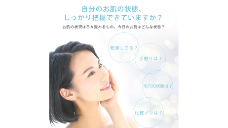 美ルル スキンチェッカー USB