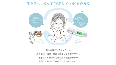 美ルル スキンチェッカー USB