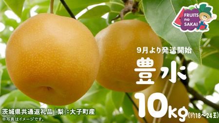 はる　10キロ　豊水梨 豊水 梨 10kg （18～24玉）【2025年9月より発送開始】（茨城県
