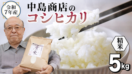 令和7年産 茨城県産 精米 コシヒカリ 5kg （5kg×1袋）
