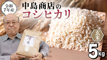 令和7年産 茨城県産 玄米 コシヒカリ 5kg （5kg×1袋）