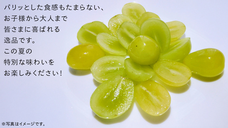 シャインマスカット 2kg （4房）【2025年9月より発送開始】（茨城県共通返礼品 [ぶどう]：結城市産）