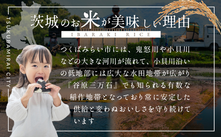 【 最短 翌日発送 】令和7年産 茨城県産 コシヒカリ 2kg ( 2kg ×1袋) 五つ星 お米マイスター 監修