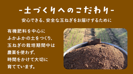 【先行予約】つくばみらい市産たまねぎ 5kg （七宝甘70）保管に便利な 貯蔵 ネット付【2026年5月より発送開始】			