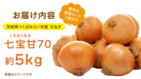 【先行予約】つくばみらい市産たまねぎ 5kg （七宝甘70）保管に便利な 貯蔵 ネット付【2026年5月より発送開始】			