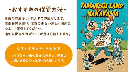 【先行予約】つくばみらい市産たまねぎ 5kg （七宝甘70）保管に便利な 貯蔵 ネット付【2026年5月より発送開始】			