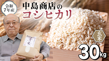 令和7年産 茨城県産 玄米 コシヒカリ 30kg（30kg×1袋）