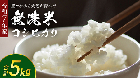 【 無洗米 】令和7年産 コシヒカリ 5kg 茨城県つくばみらい市産