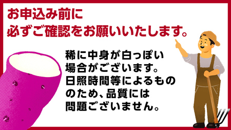 茨城県産 紅はるか 10kg 土付き 無選別