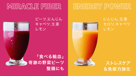 【1日ファスティングに最適】1day fasting コールドプレスジュース 6本セット 360ml×6種
