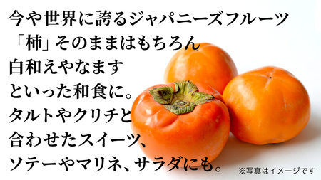 富有柿 30個 約10kg（2L以上）【11月より発送開始】（茨城県共通返礼品 [柿]：大子町産）