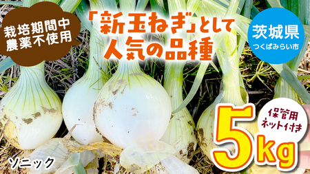 【 先行予約 】つくばみらい市産 たまねぎ 5kg ( ソニック ) 保管に便利な貯蔵ネット付【2026年6月より発送開始】