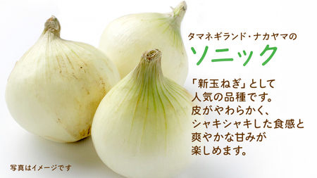 【 先行予約 】つくばみらい市産 たまねぎ 5kg ( ソニック ) 保管に便利な貯蔵ネット付【2026年6月より発送開始】