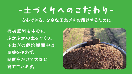 【 先行予約 】つくばみらい市産 たまねぎ 5kg ( ソニック ) 保管に便利な貯蔵ネット付【2026年6月より発送開始】