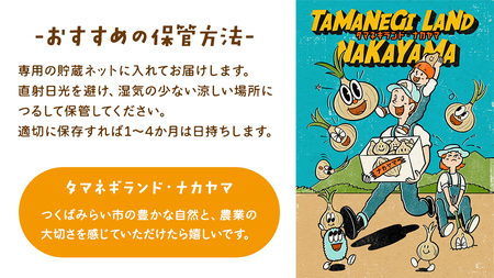 【 先行予約 】つくばみらい市産 たまねぎ 5kg ( ソニック ) 保管に便利な貯蔵ネット付【2026年6月より発送開始】