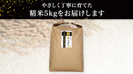令和7年産 < 4月出荷 > 精米 5kg 三百年 続く農家 の 有機特別栽培米 コシヒカリ