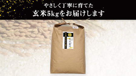 令和7年産 ＜ 4月出荷 ＞ 玄米 5kg 三百年 続く農家 の 有機特別栽培米 コシヒカリ