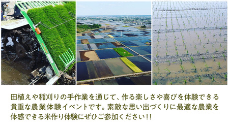 【2026年5月16日(土曜日) 開催予定】お1人様大歓迎!米作り体験(田植え・稲刈り体験)にじのきらめき 5kg付き