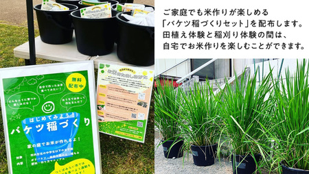 【2026年5月16日(土曜日) 開催予定】お1人様大歓迎!米作り体験(田植え・稲刈り体験)にじのきらめき 5kg付き