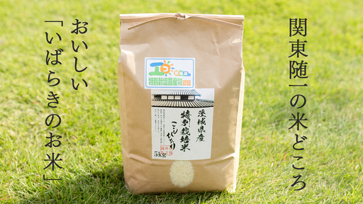 令和7年産 茨城県産 玄米 特別栽培米 コシヒカリ 10kg （5kg×2袋）