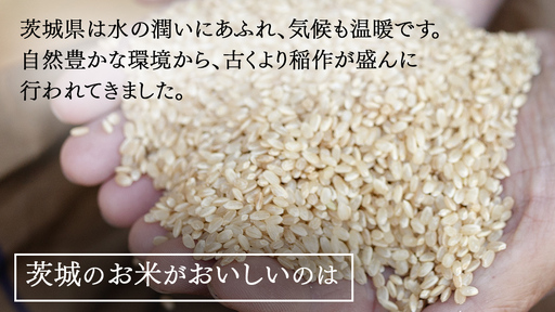 令和7年産 茨城県産 玄米 特別栽培米 コシヒカリ 10kg （5kg×2袋）