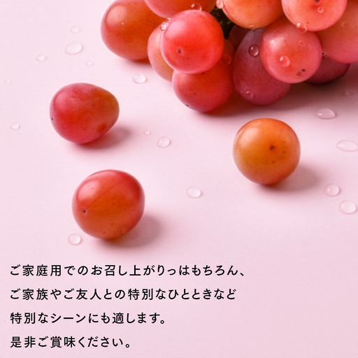 クインニーナ5キロ粒のみ クインニーナ 5kg （8～12房）【2026年9月より発送開始】（茨城県共通