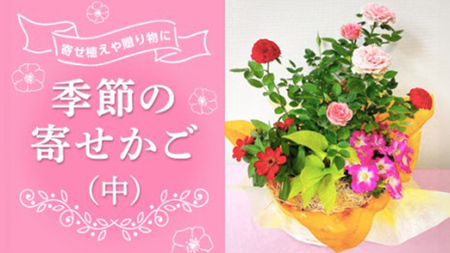 季節の寄せかご（中）