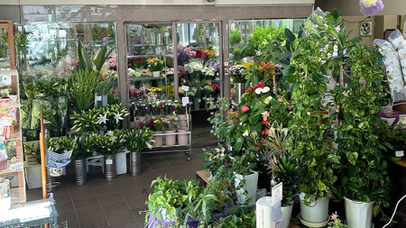 季節の寄せかご（中）