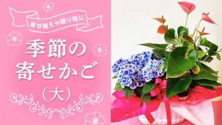 季節の寄せかご（大）