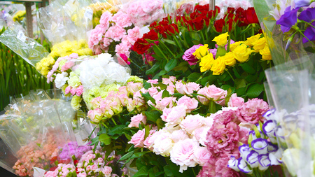 季節の寄せかご（大）