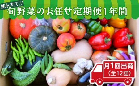 【数量限定】旬野菜のお任せ定期便１年間（月１回出荷）