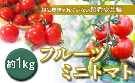【先行予約】フルーツミニトマト 約1kg