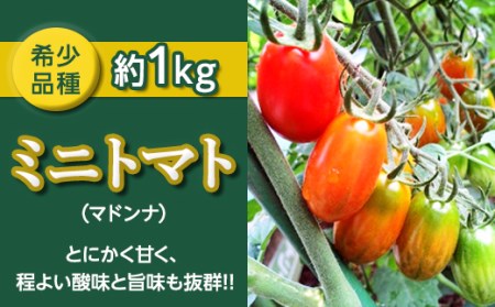 【先行予約】ミニトマト(マドンナ)約1kg