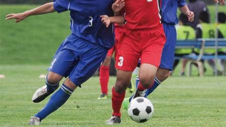 広角双眼鏡エクストラワイドws 茨城県つくばみらい市 ふるさと納税サイト ふるなび