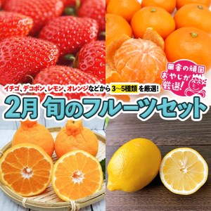 旬のフルーツセット 2月号【令和7年2月より発送開始】 田舎の頑固おやじが厳選！