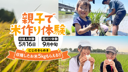 【2026年5月16日(土曜日) 開催予定】親子で米作り体験（田植え・稲刈り体験）にじのきらめき 5kg付き