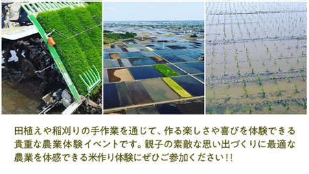 【2026年5月16日(土曜日) 開催予定】親子で米作り体験（田植え・稲刈り体験）にじのきらめき 5kg付き
