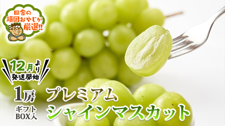 ＜お歳暮熨斗付＞プレミアムシャインマスカット1房 ギフトBOX入り 【令和6年12月より発送開始】 田舎の頑固おやじが厳選！ 茨城県 県産 つくばみらい市 人気 厳選 果物 くだもの 旬 旬の果物 旬のフルーツ プレミア プレミアム シャインマスカット マスカット ぶどう ブドウ ギフト 贈り物 プレゼント ボックス入り 熨斗 熨斗付き お歳暮 御歳暮 冷蔵 送料無料