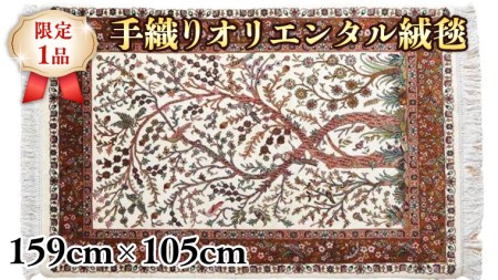 【限定1品】ビジャー産 手織り 絨毯 手織り ラグマット カーペット／高級 ウール アクセントラグサイズ 159×105cm 高品質 じゅうたん ラグ（FM-22007） 絨毯 手織り モダン クラシック 玄関マット エントランスマット リビング 書斎 寝室 和室 床暖房 ホットカーペット対応 じゅうたん ラグ 高密度 繊細  美しい ラグマット カーペット エレガント インテリア