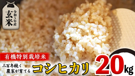 新米コシヒカリ玄米20キロ米/穀物