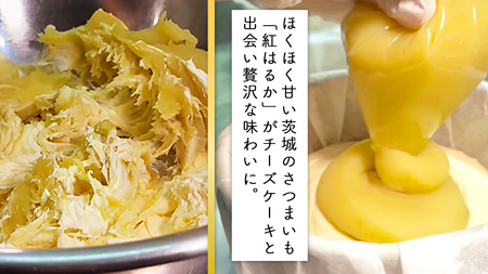 【 茨城県産 紅はるか 使用 】 猿島産 ほうじ茶 入り お芋 の 結 バスクチーズケーキ 【 パウンド型 】