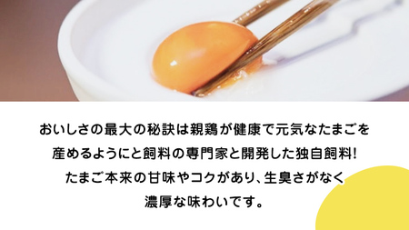 紅プレミアム 卵 30個 （ 25個 入り ＋ 割れ保障 5個 ） 独自飼料 濃厚 おいしい玉子 玉子 たまご サンサンエッグ タンパク質