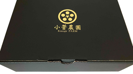 フルーツミニトマト 約1kg 【2026年1月10日発送開始】 