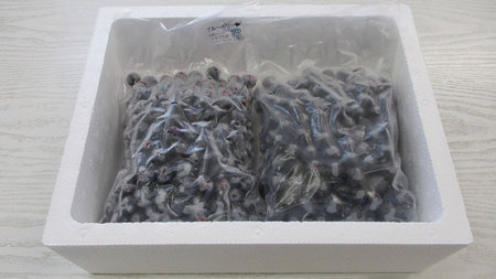 つくばみらい市 産 冷凍 ブルーベリー 1kg ( 500g ×2パック ) 国産 農薬無使用 自家農場 果物 就労継続支援 フルーツ おいしい 冷凍ブルーベリー フリーズ