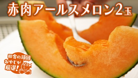 赤肉 アールスメロン 2個